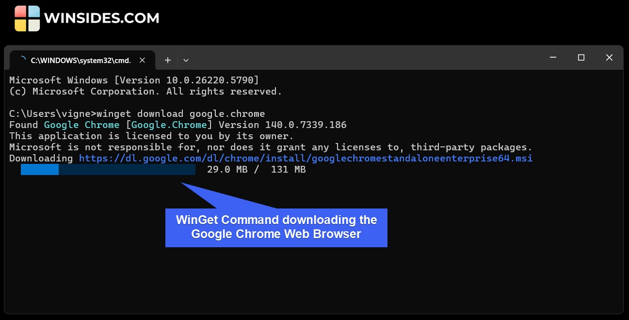 Downloading Google Chrome