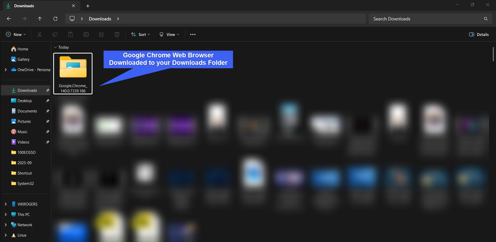 Google Chrome Executable File